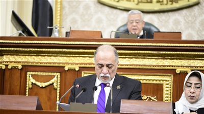 نواب عن قانون حقوق المسنين: الشيطان يكمن فى التفاصيل