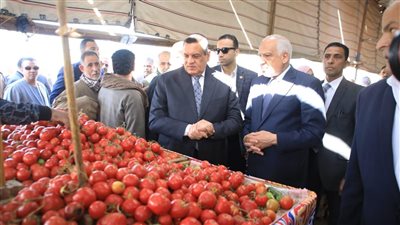 وزير التنمية المحلية ومحافظ الجيزة يتفقدان سوق الجملة بالسادس من أكتوبر