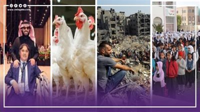 نشرة الأخبار، بدء الترم الثاني، مجزرة إسرائيلية برفح، قفزة في أسعار الدواجن، ماذا تعرف عن مرض أشرف قاسم؟
