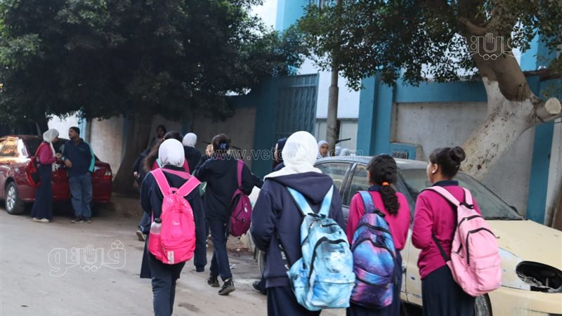 بدء الدراسة،فيتو