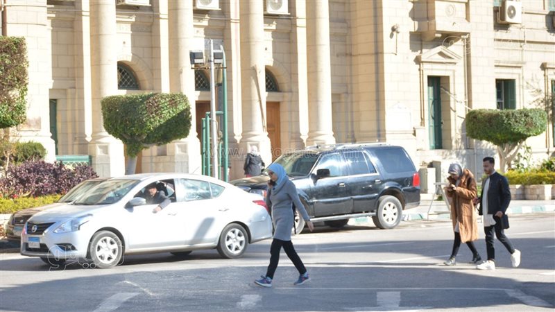 جامعة القاهرة، فيتو