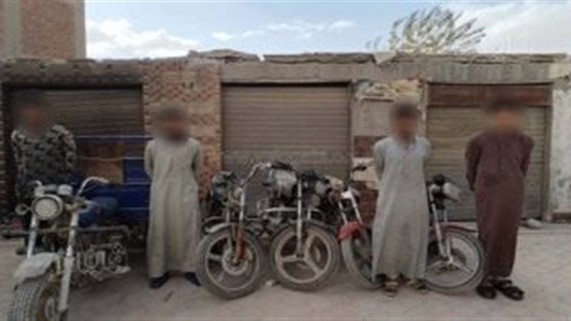 سقوط 5 تشكيلات عصابية،فيتو