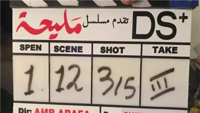 مسلسلات رمضان 2024، تعرف على تفاصيل أول دراما مصرية تناقش القضية الفلسطينية 