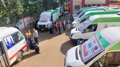 توقيع الكشف الطبى بالمجان على ١٠٠٠ مواطن خلال قافلة بكفر سعد في دمياط