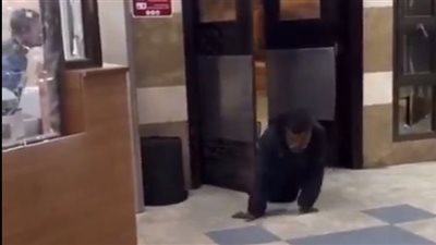 مصاب بنيران الاحتلال يدخل زحفًا إلى مجمع ناصر الطبي بخان يونس (فيديو)