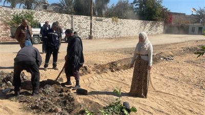 محافظة أسيوط تواصل أعمال التشجير وزراعة الشتلات بالطرق والمحاور