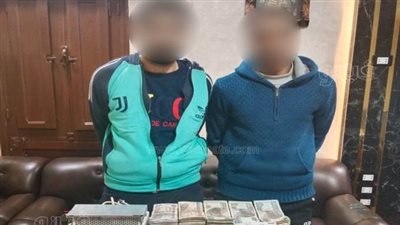 ضبط 3 تشكيلات عصابية بتهمة السرقة بالغربية والجيزة 