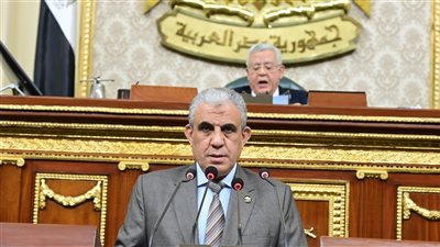 النواب يبدأ مناقشة مشروع قوانين تعجيل العلاوات الدورية وزيادة المعاشات 