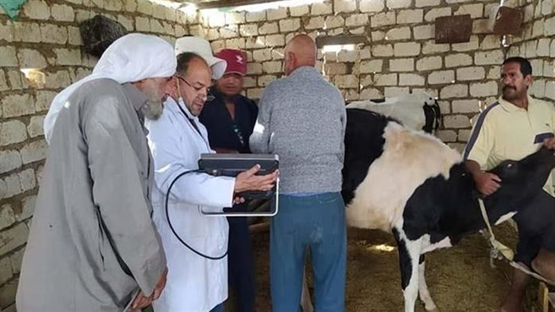 قافلة بيطرية بالجيزة،