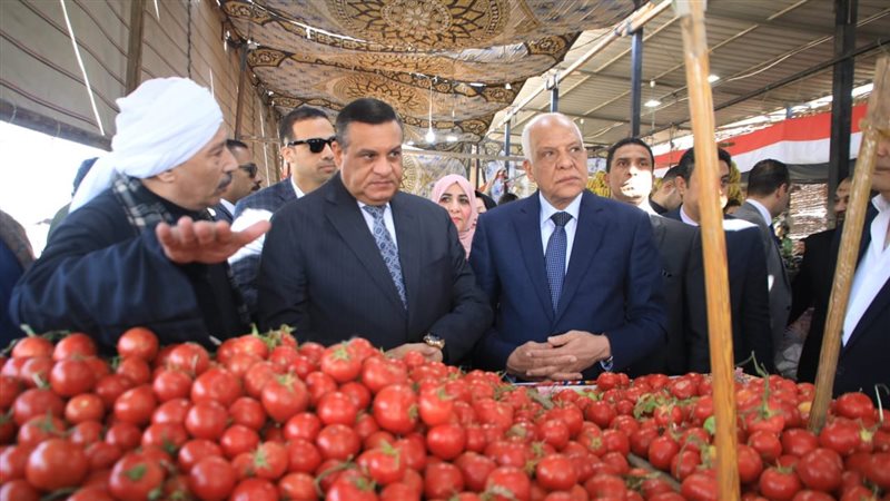 محافظ الجيزة ووزير
