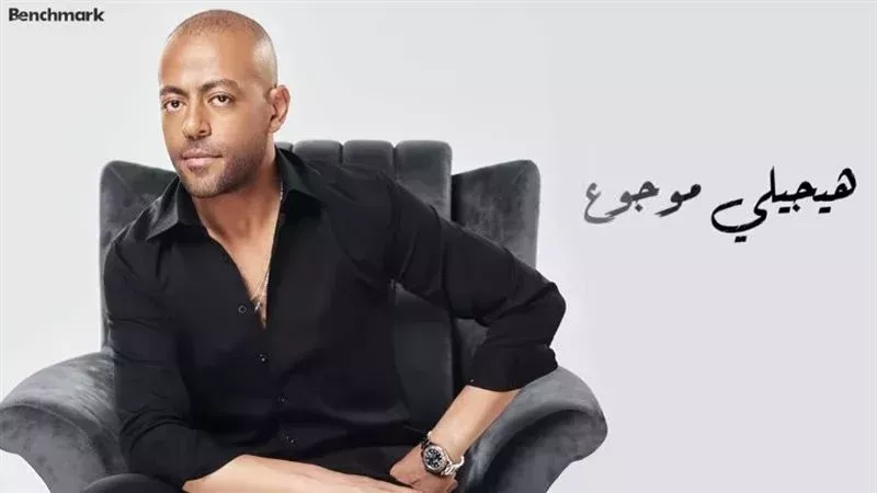 تامر عاشور,فيتو