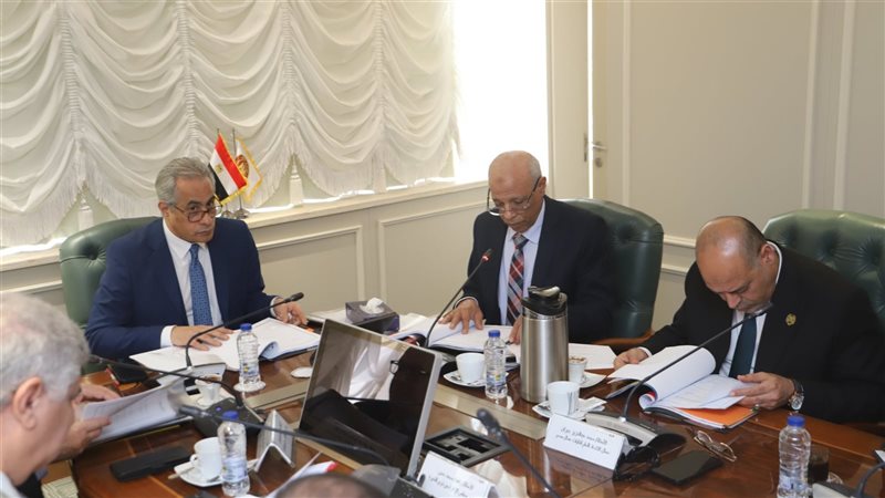 حسن شحاتة وزير العمل،