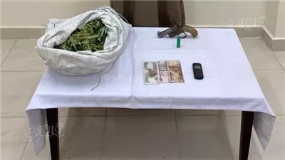 حبس مزارع و5 عاطلين بتهمة حيازة كميات من المخدرات وأسلحة نارية