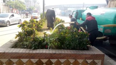 محافظ الغربية يتابع جهود الوحدات المحلية في زراعة أشجار مثمرة وزينة