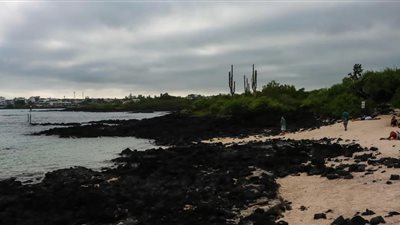 سقوط طائرة في البحر قبالة أرخبيل جالاباجوس بالإكوادور