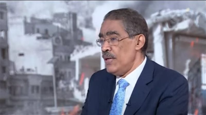 الدكتور ضياء رشوان،