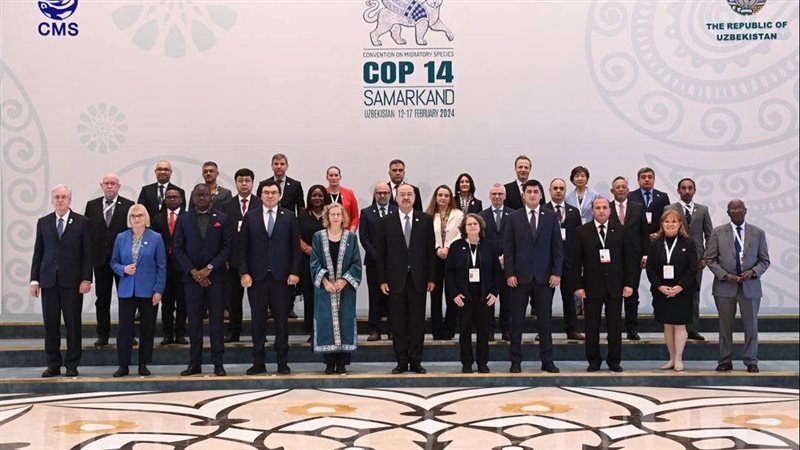 مؤتمر كوب 14،فيتو