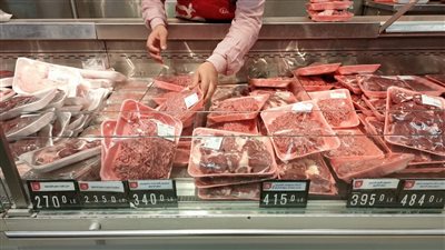 التموين: طرح 12700 طن لحوم ودواجن بمعارض 