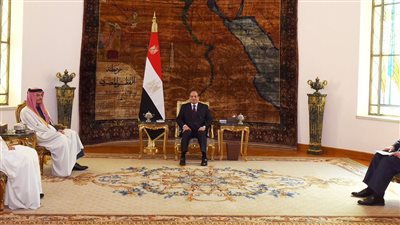 حرب غزة، مصر وقطر تشددان على ضرورة تكاتف الجهود الدولية لوقف التوتر في المنطقة