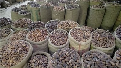 أسعار التمر المجفف والرطب بالأسواق.. وهذا سر ارتباطه بشهر رمضان (فيديو)