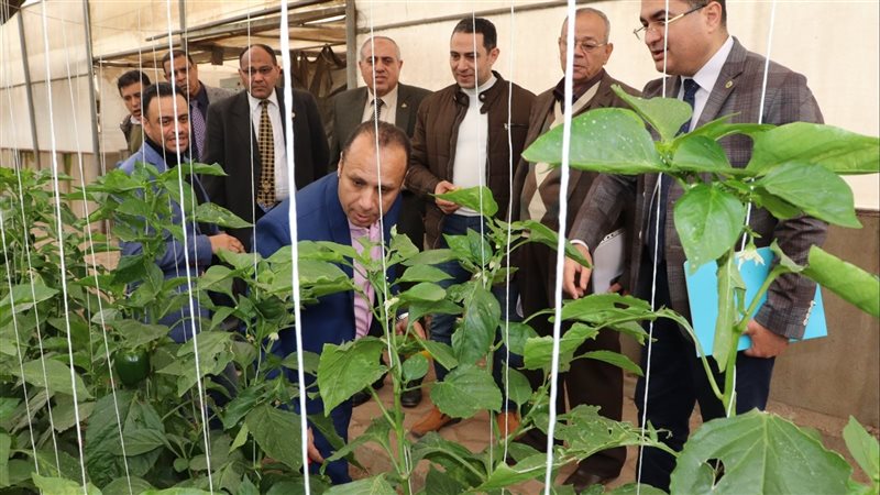 جامعة بنها، فيتو