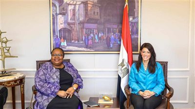 المشاط تبحث تعزيز الشراكة الاستراتيجية مع 