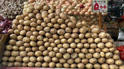 أسعار الخضراوات اليوم، تراجع الطماطم والبصل والبطاطس في سوق العبور