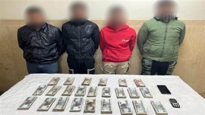 ضبط 6 عاطلين و3 سيدات لارتكاب جرائم سرقات متنوعة (صور)