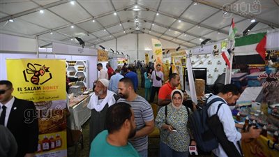 أهم مطالب المصريين من الحكومة الجديدة.. خفض الأسعار ومراقبة الأسواق.. وقف انقطاع الكهرباء والتوسع في استخدام الطاقة الشمسية.. والاهتمام بالصحة والتعليم 