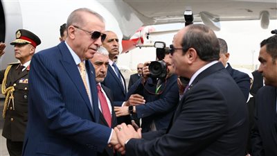  السيسي: توافقت مع أردوغان على ضرورة وقف إطلاق النار بغزة 