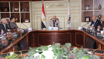 محافظ بني سويف يبحث شكوى تذبذب التيار الكهربائي ببياض العرب الصناعية