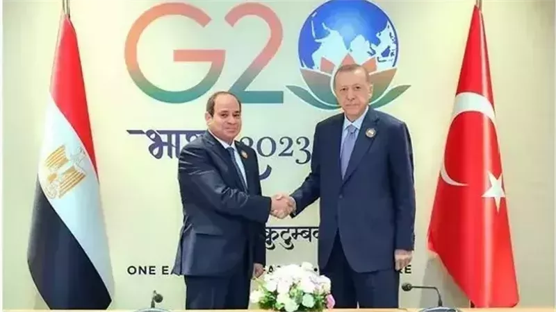 الرئيس السيسي وأردوغان،