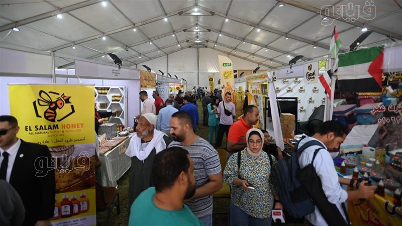المطلوب من الحكومة