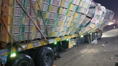 تعطل حركة الطريق الزراعي بعد انقلاب سيارة محملة بالبرتقال (صور) 