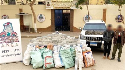 ضبط 2 من العناصر الإجرامية بحوزتهما مخدرات بـ 32 مليون جنيه