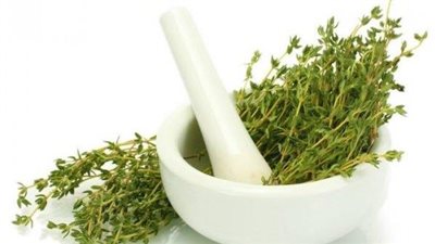 فوائد الزعتر، يقوي العظام والمناعة ويقضي على الأرق