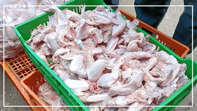  أسعار هياكل وأجنحة الفراخ في الأسواق (إنفوجراف) 
