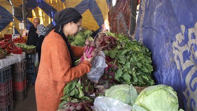 محافظ الجيزة يتابع منافذ البيع للجمهور بسوق الجملة في 6 أكتوبر (صور)