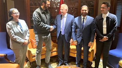 محافظ جنوب سيناء يلتقي ممثلي شركة انترو للطاقة الشمسية