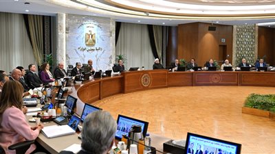 إكسترا نيوز: بيان مهم لمجلس الوزراء بعد قليل