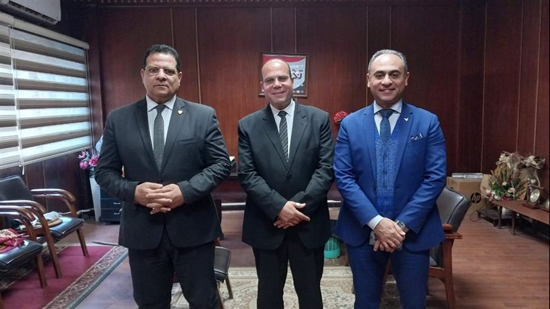 تضامن الدقهلية، فيتو
