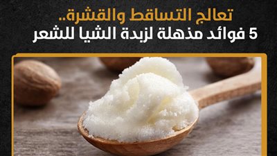 تعالج التساقط والقشرة.. 5 فوائد مذهلة لزبدة الشيا للشعر (إنفوجراف)