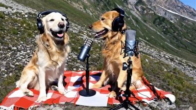 سورا، أداة جديدة من 