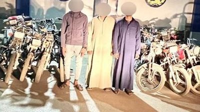 ضبط 7 عناصر إجرامية لارتكابهم جرائم السرقة 