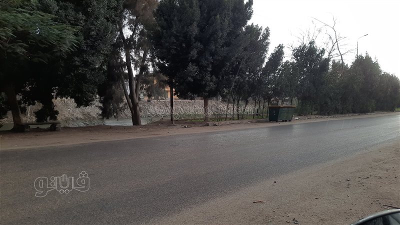 جانب من الأمطار على