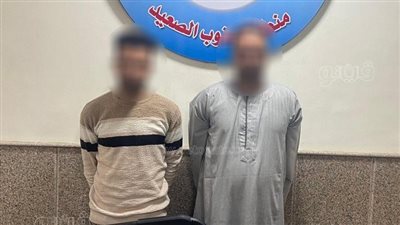 ضبط 50 طربة حشيش بحوزة عنصرين إجراميين في قنا  