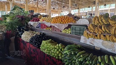 الطماطم بـ 8 والفراولة بـ 25 جنيها، أسعار الخضراوات والفاكهة بأسواق الأقصر (بث مباشر)