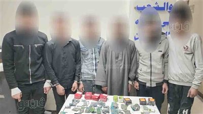 ضبط عصابتين لسرقة المساكن والكابلات الكهربائية في قنا والوادي الجديد