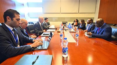 نشاط مصري مكثف على هامش أعمال المجلس التنفيذي للاتحاد الأفريقي بأديس أبابا (صور)