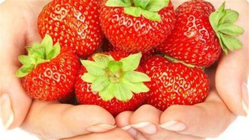 فوائد الفراولة، فيتو